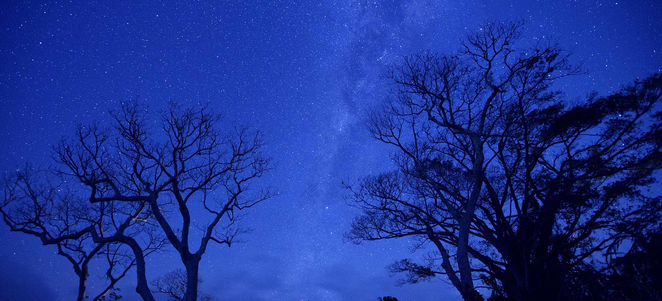 South Pacific Tours Vanuatu - Stars in the sky